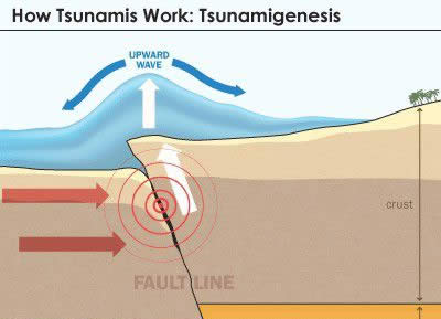 為什么會發生海嘯