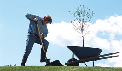 與勤勞有關的31句名人名言