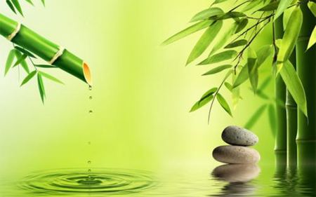 為什么竹子中間是空心的呢？