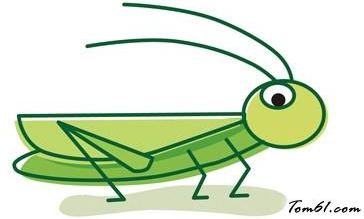 為什么蝗蟲成群活動(dòng)?