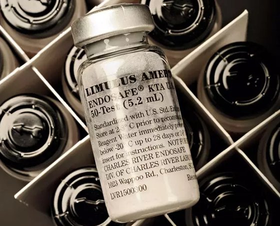 為什么鱟的血液是藍(lán)色的