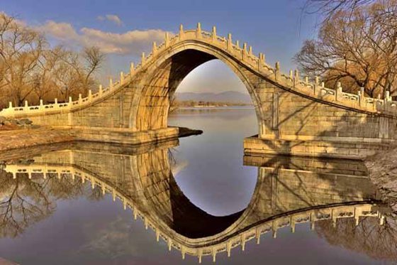 為什么動物的骨骼是拱形的