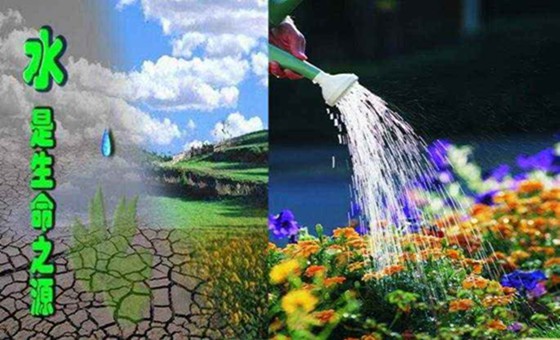 為什么植物需要空氣,植物離不開空氣的原因