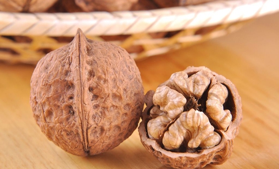 核桃的外殼那么硬能發(fā)芽嗎