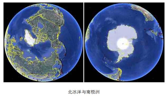 南極和北極有植物嗎？