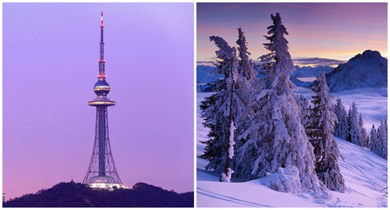 植物給人類哪些啟示,為什么說植物是天然設計師