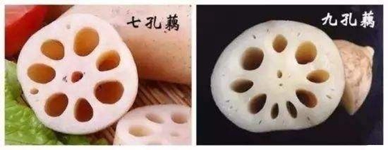 為什么藕上面有很多孔,蓮藕為什么有孔