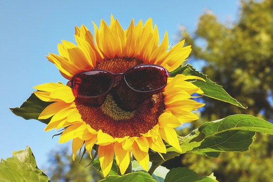 為什么光線太強(qiáng)也能使人近視