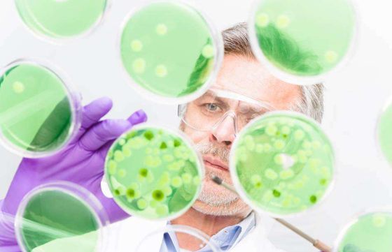 為什么長壽和遺傳基因有關,怎樣才能長壽