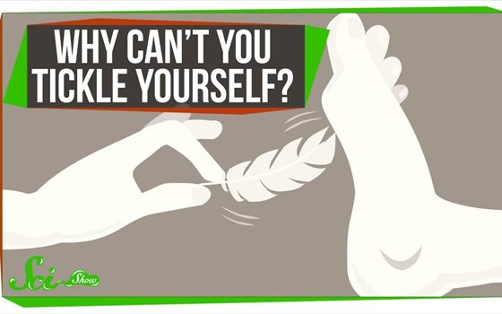 人為什么會感覺癢,為什么癢的時候要撓