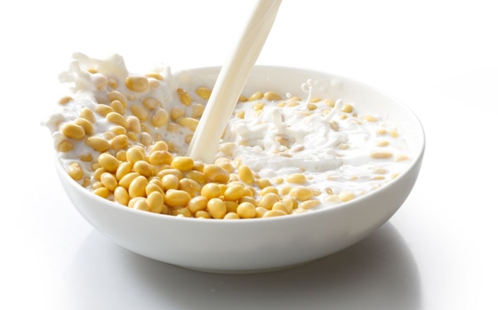 為什么不能空腹喝豆漿,早上空腹喝豆漿好嗎