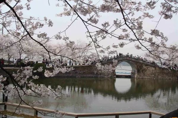 黿頭渚怎么讀拼音是什么,無錫黿頭渚是什么地方