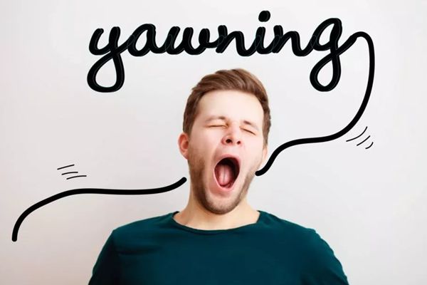 人為什么會(huì)打哈欠,老打哈欠怎么回事,打哈欠的原因