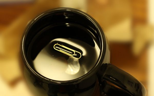 為什么針能浮在水面上,針能浮在水面上的原因