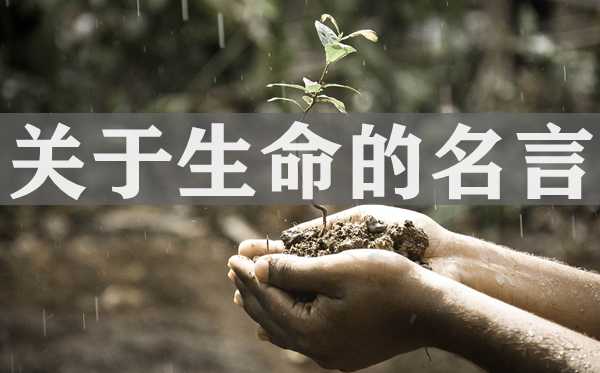 關于生命的名人名言