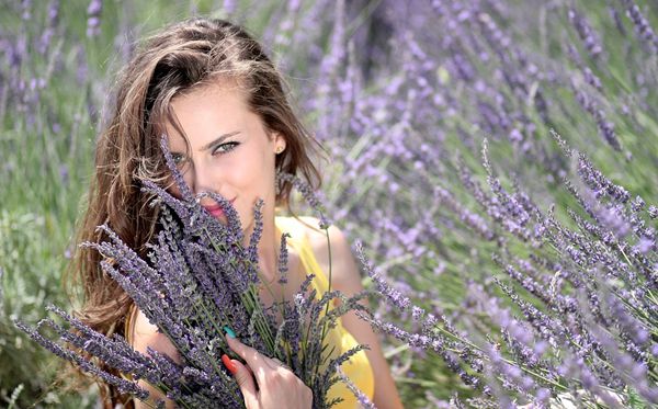 薰衣草的花語是什么,薰衣草花語大全