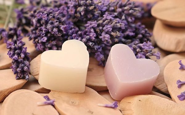 薰衣草的花語是什么,薰衣草花語大全