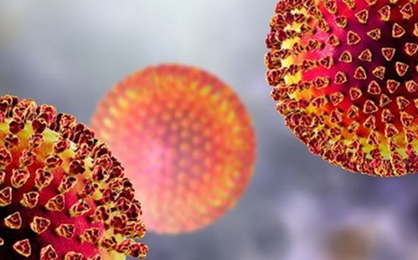 世衛組織宣布全球大流行是什么意思,疫情全球大流行的后果是什么