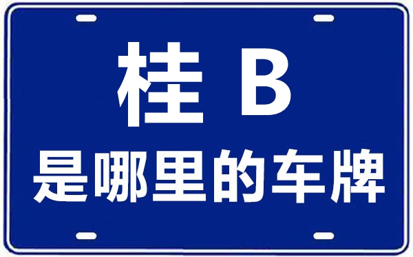 桂B是哪里的車牌號,柳州的車牌號是桂什么