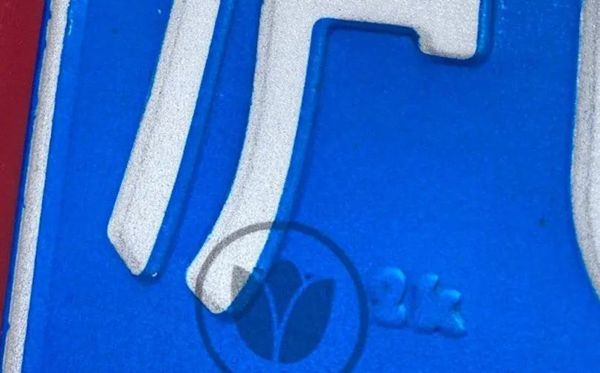 上海車(chē)牌上印的是白玉蘭花