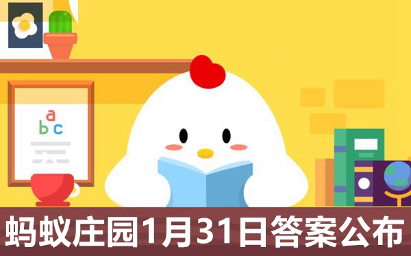 小雞莊園小課堂1月31日今天答案,螞蟻莊園今日答案1.31