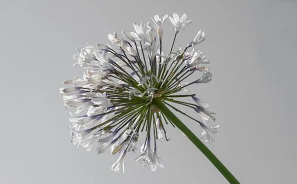 適合處理深夜消極情緒的勵(lì)志名言50句