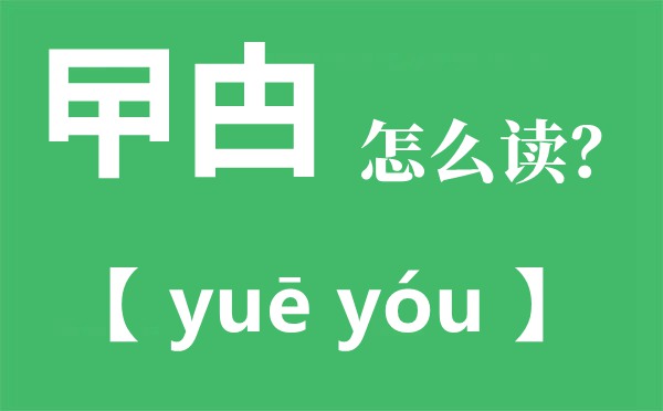 曱甴怎么讀拼音是什么,曱甴是什么意思