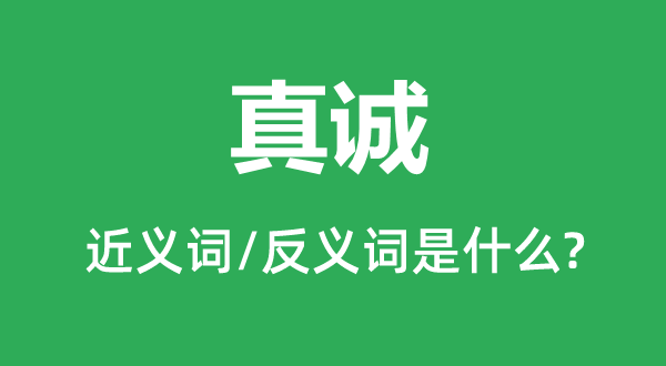 真誠的近義詞和反義詞是什么,真誠是什么意思