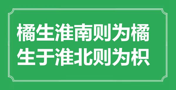 “橘生淮南則為橘，生于淮北則為枳”的意思出處及全文賞析