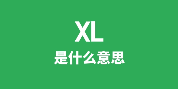 XL是什么意思