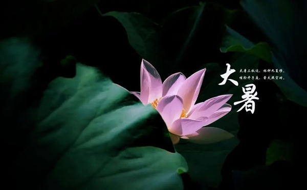 大暑節(jié)氣的含義是什么,大暑節(jié)氣的特點(diǎn)和風(fēng)俗簡介