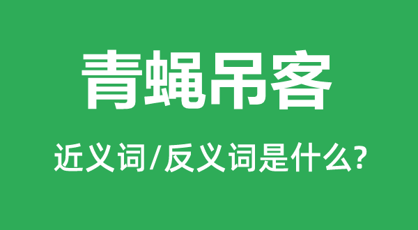 青蠅吊客的近義詞和反義詞是什么,青蠅吊客是什么意思