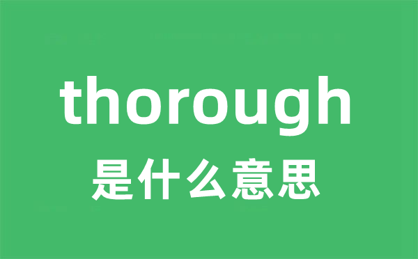 thorough是什么意思