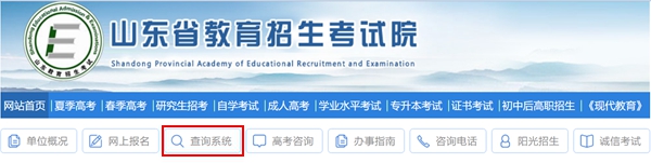 山東省教育招生考試院高考成績查詢入口（https://www.sdzk.cn/）