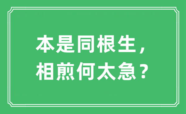 “本是同根生，相煎何太急？”是什么意思,出處及原文翻譯