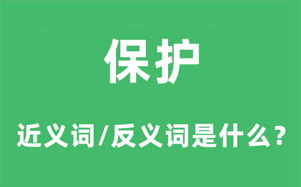 保護的近義詞和反義詞是什么,保護是什么意思