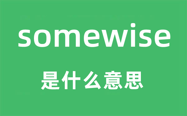 somewise是什么意思,somewise怎么讀,中文翻譯是什么