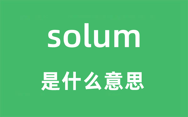 solum是什么意思,solum怎么讀,中文翻譯是什么