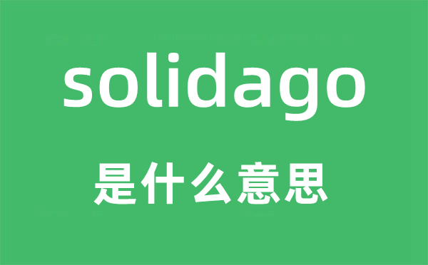 solidago是什么意思,solidago怎么讀,中文翻譯是什么