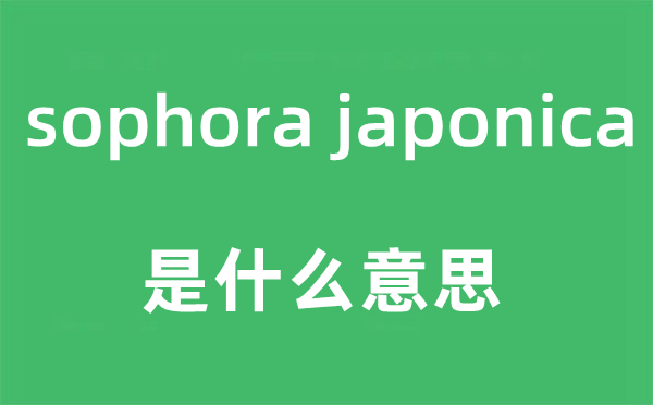 sophora japonica是什么意思,中文翻譯是什么