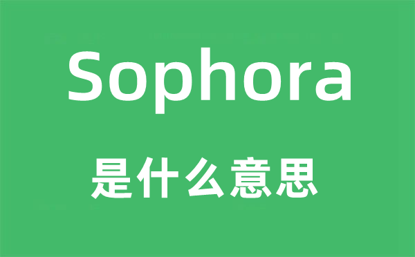 Sophora是什么意思,Sophora怎么讀,中文翻譯是什么