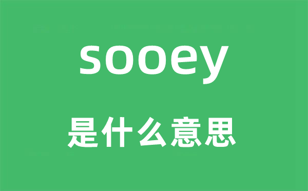 sooey是什么意思,sooey怎么讀,中文翻譯是什么