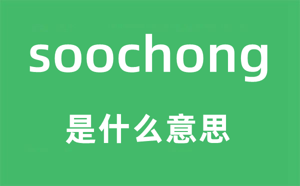 soochong是什么意思,soochong怎么讀,中文翻譯是什么