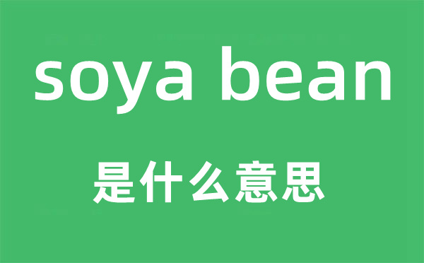 soya bean是什么意思,中文翻譯是什么