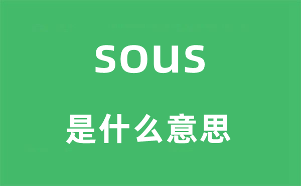 sous是什么意思,sous怎么讀,中文翻譯是什么
