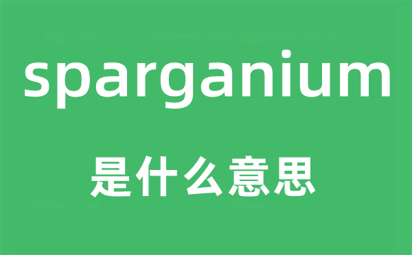 sparganium是什么意思,sparganium怎么讀,中文翻譯是什么