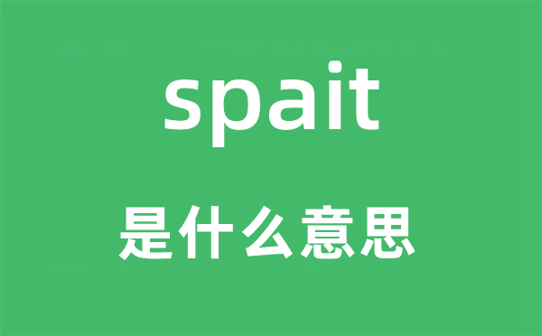 spait是什么意思,spait怎么讀,中文翻譯是什么