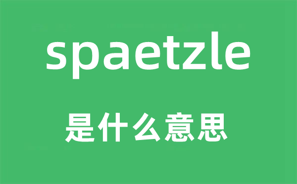 spaetzle是什么意思,spaetzle怎么讀,中文翻譯是什么
