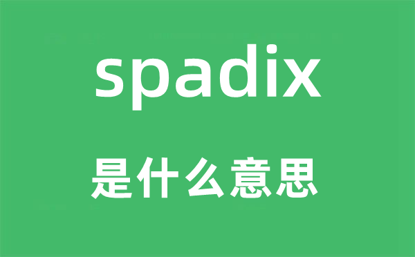 spadix是什么意思,spadix怎么讀,中文翻譯是什么