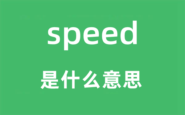 speed是什么意思,speed怎么讀,中文翻譯是什么